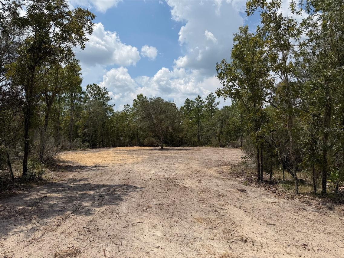 TBD NE 101st Ter., Archer, FL 32618