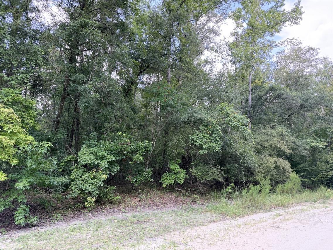 NE 756 St., Old Town, FL 32680