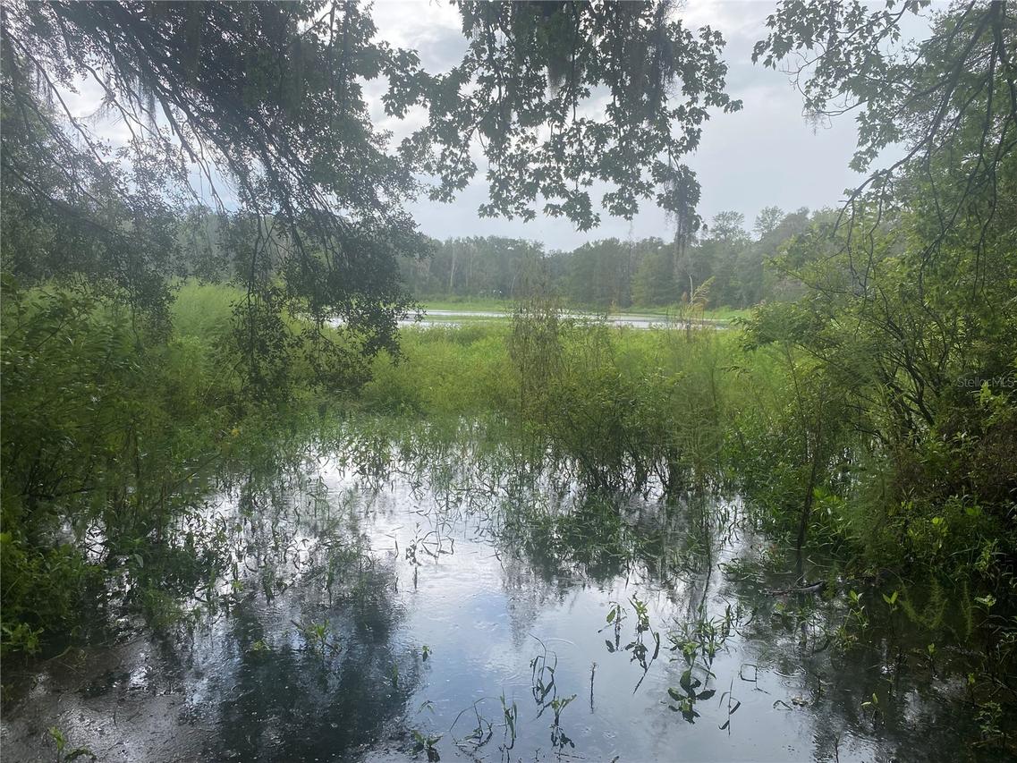 2851 SE 24th Pl., Gainesville, FL 32641
