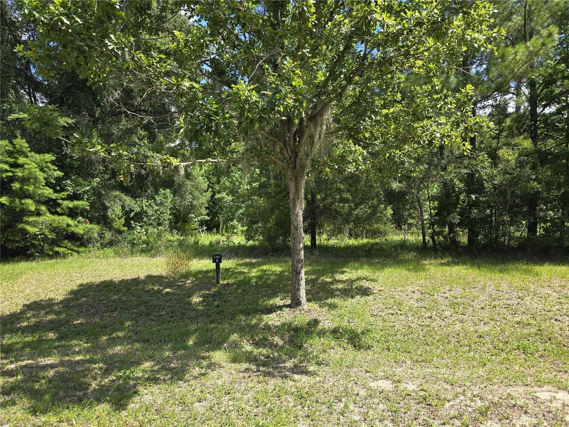 8911 NW 58th Ln., Gainesville, FL 32653