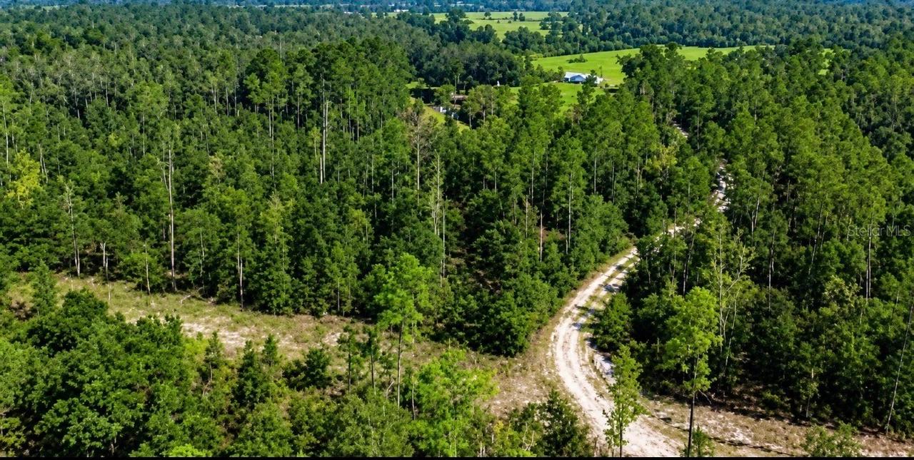 SW Co Rd 249, Jasper, FL 32052