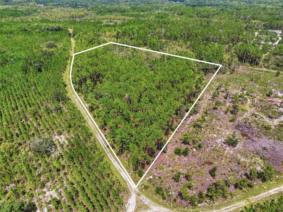 SE Se 51 Way, Trenton, FL 32693