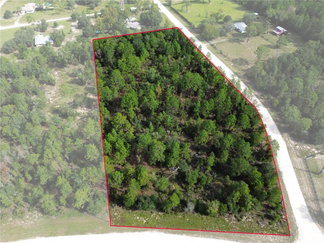 TBD NE 132nd Ct., Williston, FL 32696
