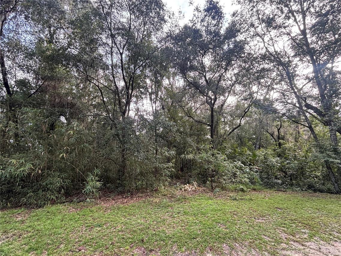 190 She She Rd., Hawthorne, FL 32640