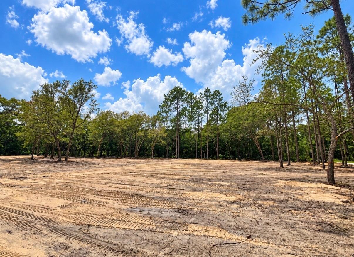 TBD NE 88th Ln., Bronson, FL 32621