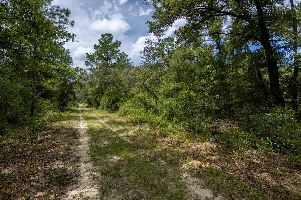 NE 81st St., Bronson, FL 32621