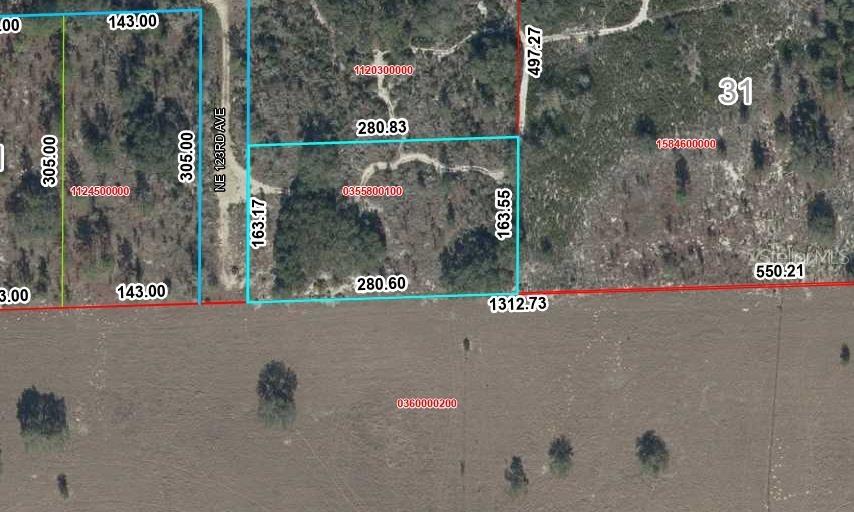 TBD NE 123rd Ave, Williston, FL 32696