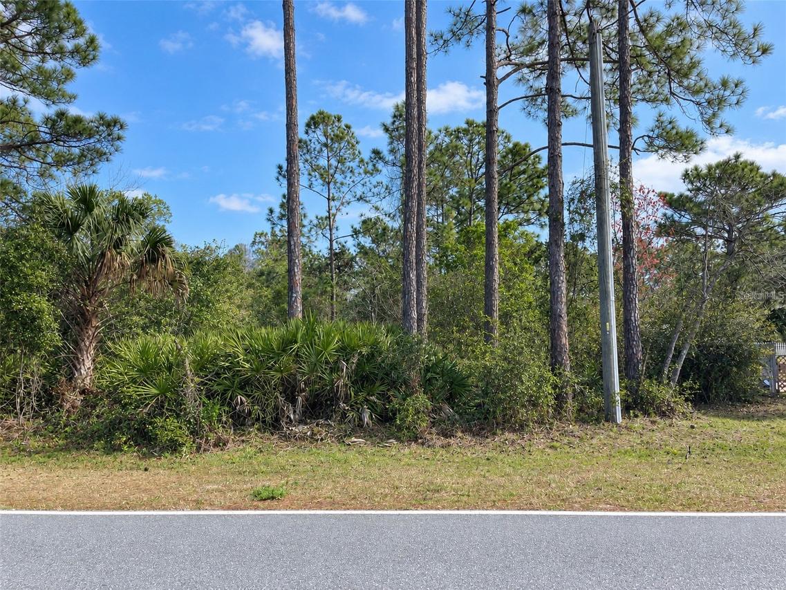 Lot 31 & 32 Royal Trails Rd., Eustis, FL 32736