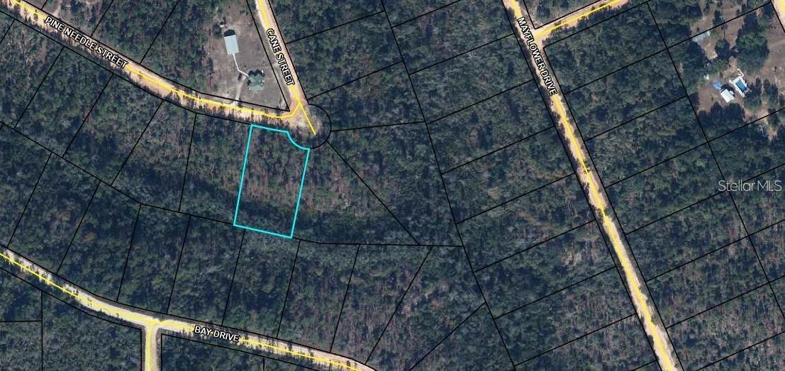 TBD Pine Needle St., Marianna, FL 32448