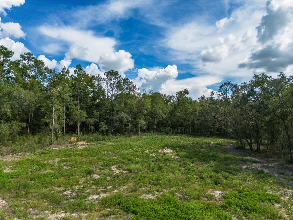 TBD NE 82nd Pl., Bronson, FL 32621