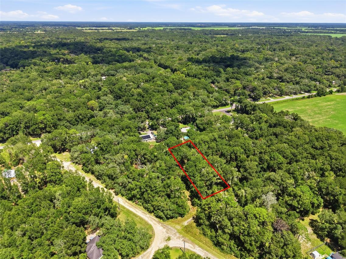 Lot 12 NW 164th St., Fanning Springs, FL 32693
