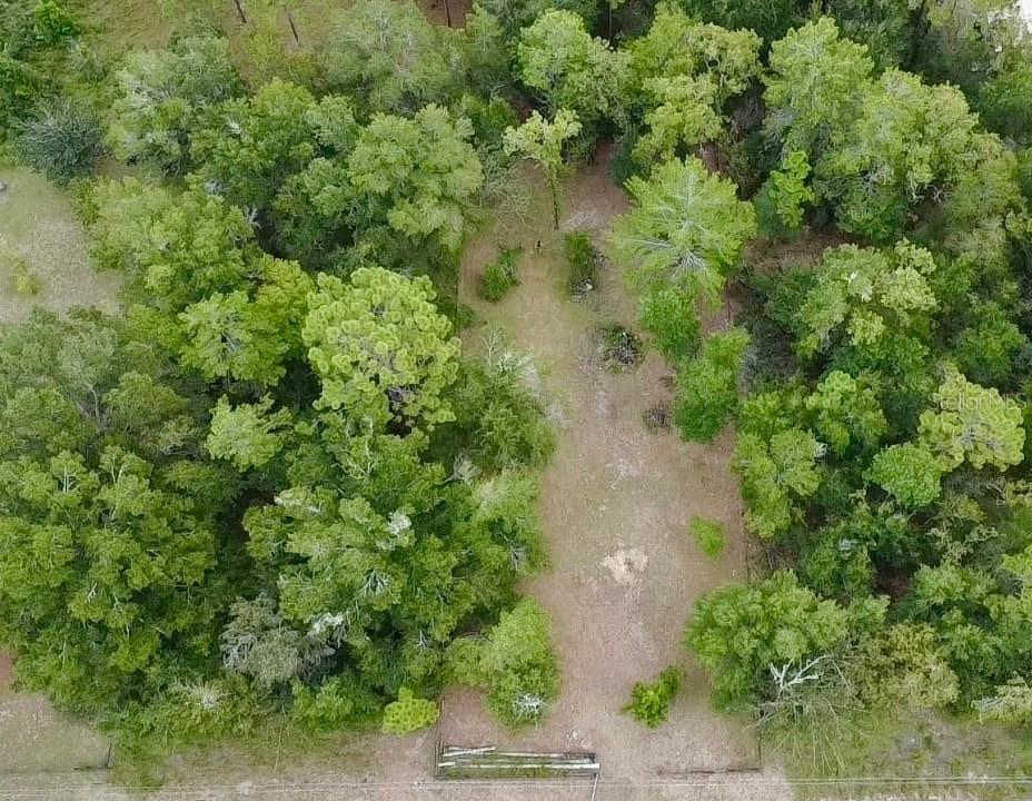4717 NE 141st Ave., Williston, FL 32696