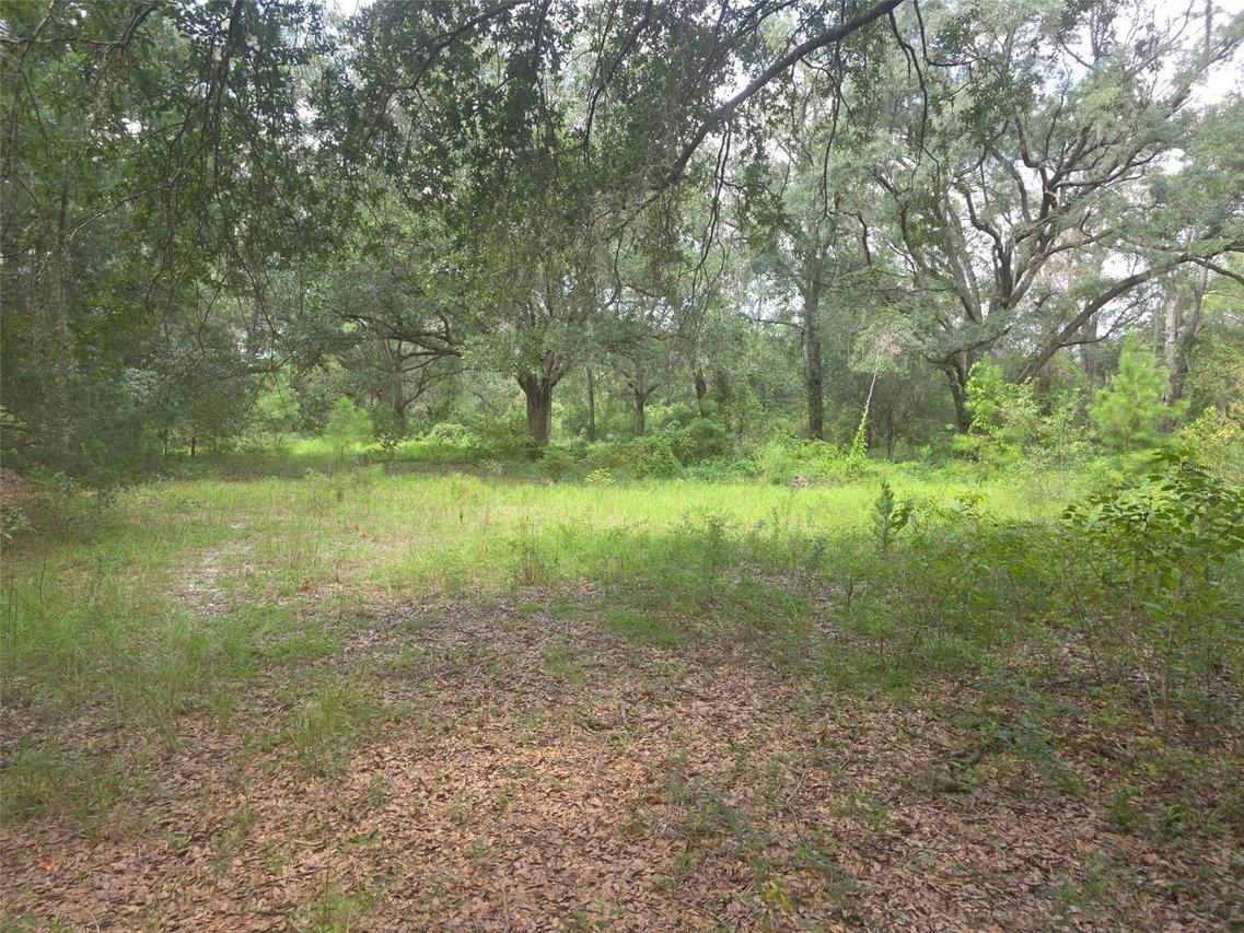16604 NE 21st St., Gainesville, FL 32609