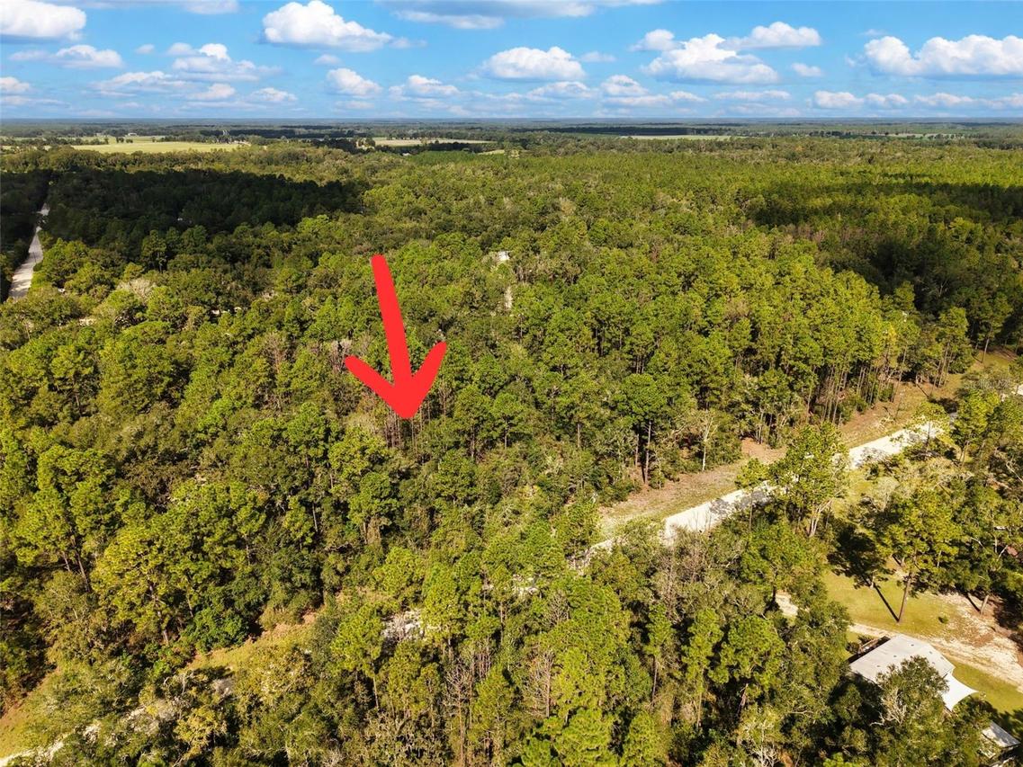 6339 NW 17th Ct., Bell, FL 32619