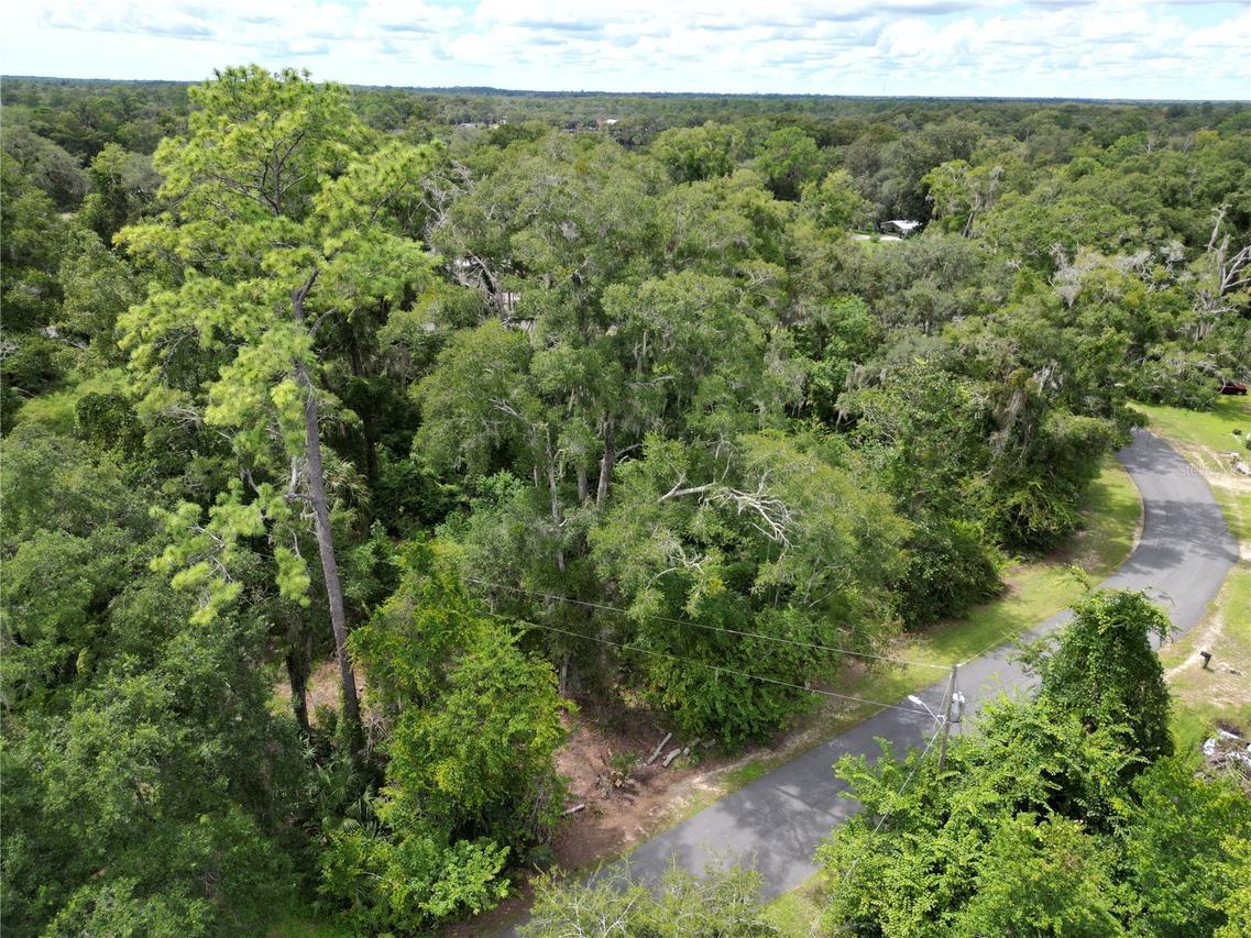 Lake Ave., Fanning Springs, FL 32693