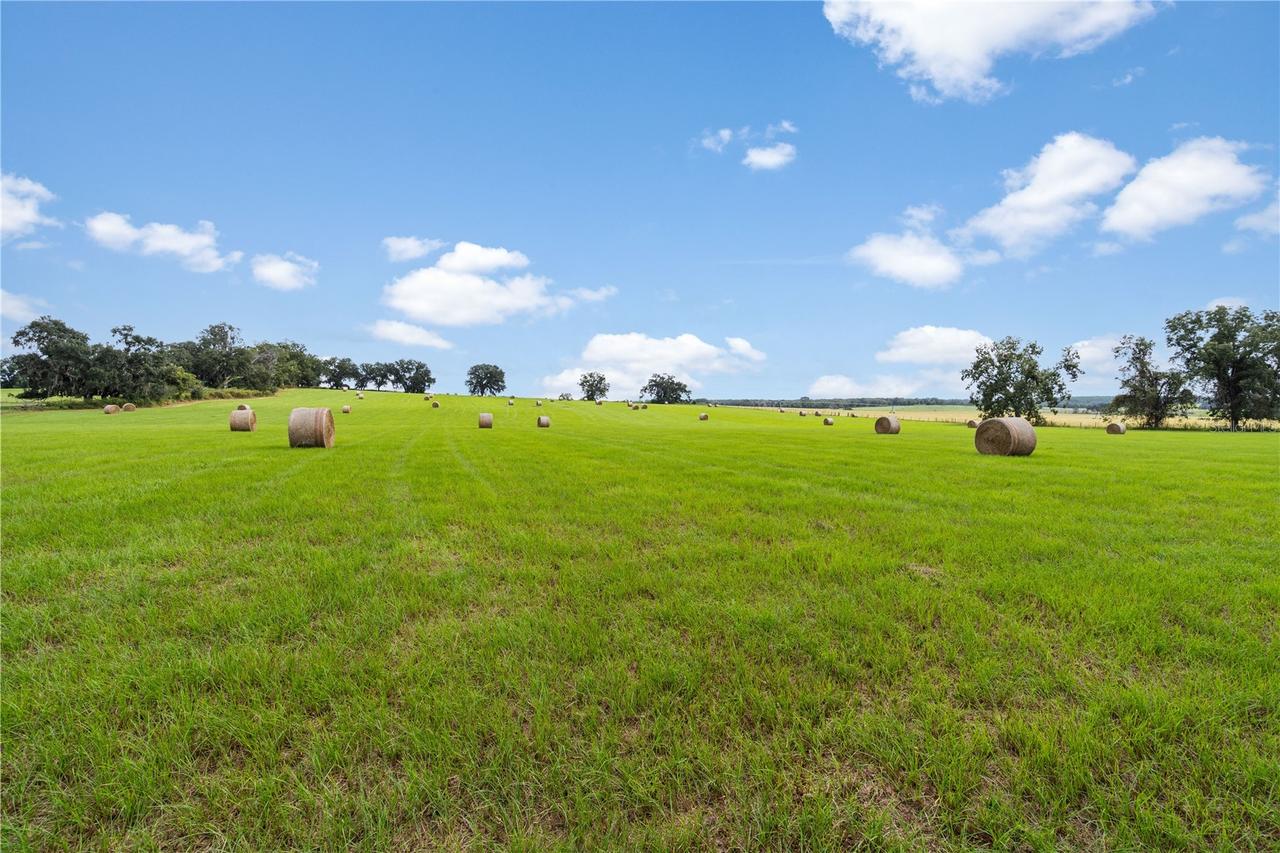 0000 SW Tustenuggee Ave., Lake City, FL 32024