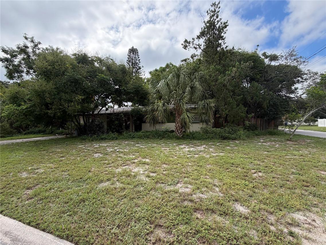 3216 W Tyson Ave., Tampa, FL 33611