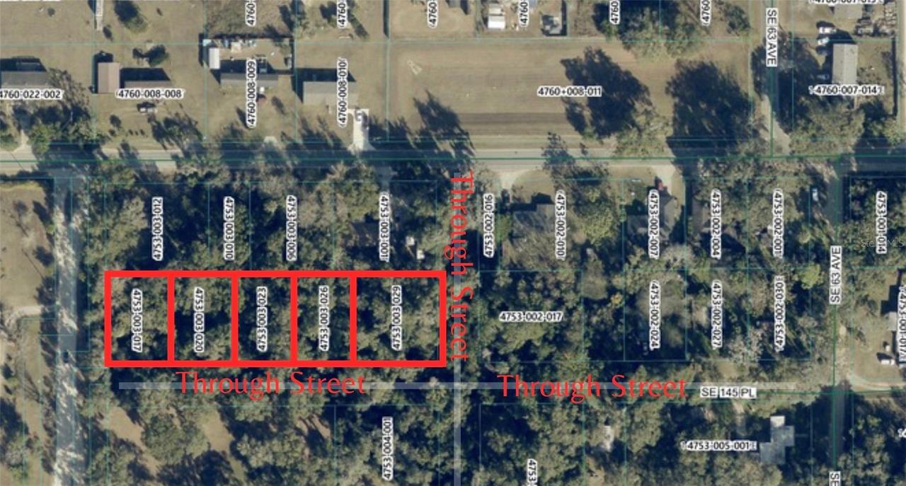 Se 145th Place, Summerfield, FL 34491