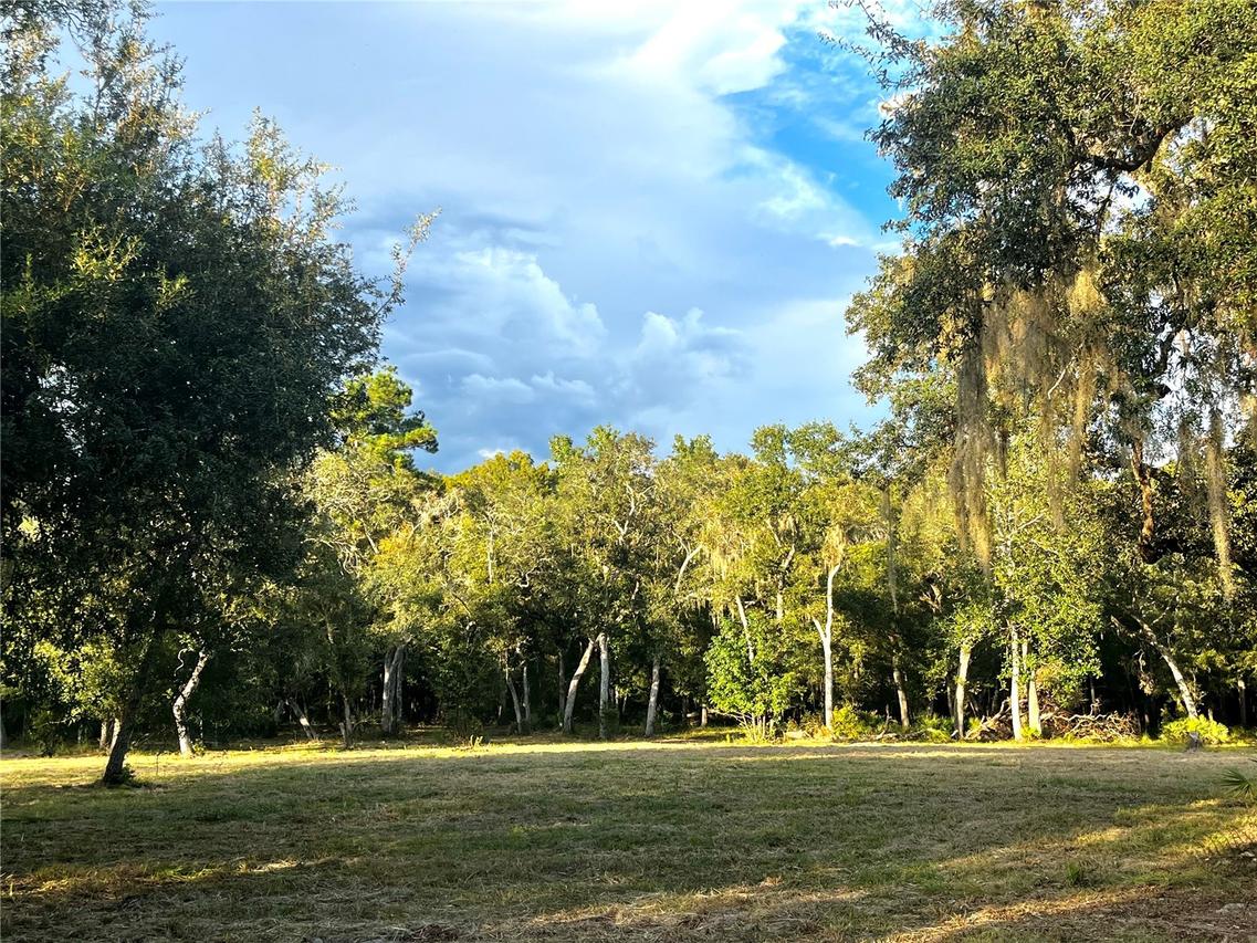 Canal St., Fanning Springs, FL 32693