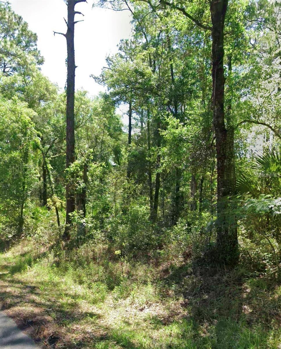 3718 E Walker St., Inverness, FL 34453