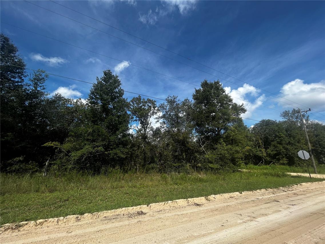00 NE 00 Ne 115th Ave Ave., Williston, FL 32696