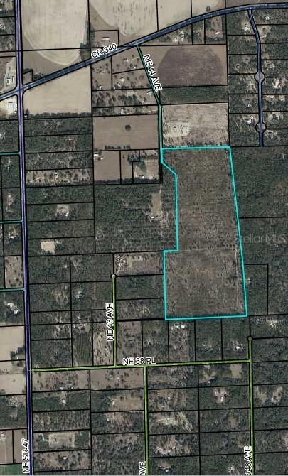 Tbd NE 44th Ave., High Springs, FL 32643