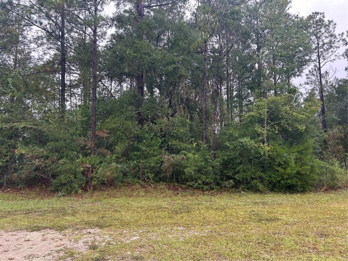 TBD NE 77th Ct., Bronson, FL 32621