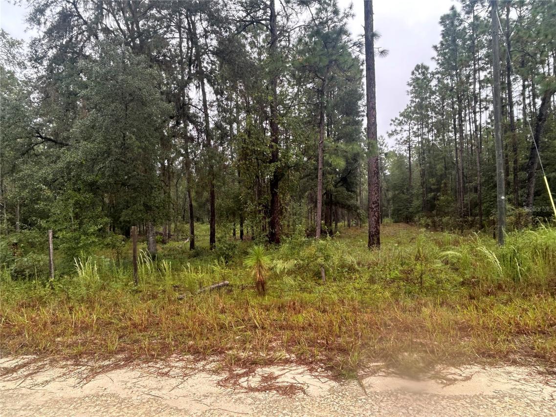 TBD NE 111th Ln., Bronson, FL 32621