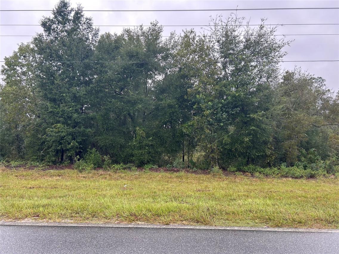 TBD NE 110th St., Bronson, FL 32621