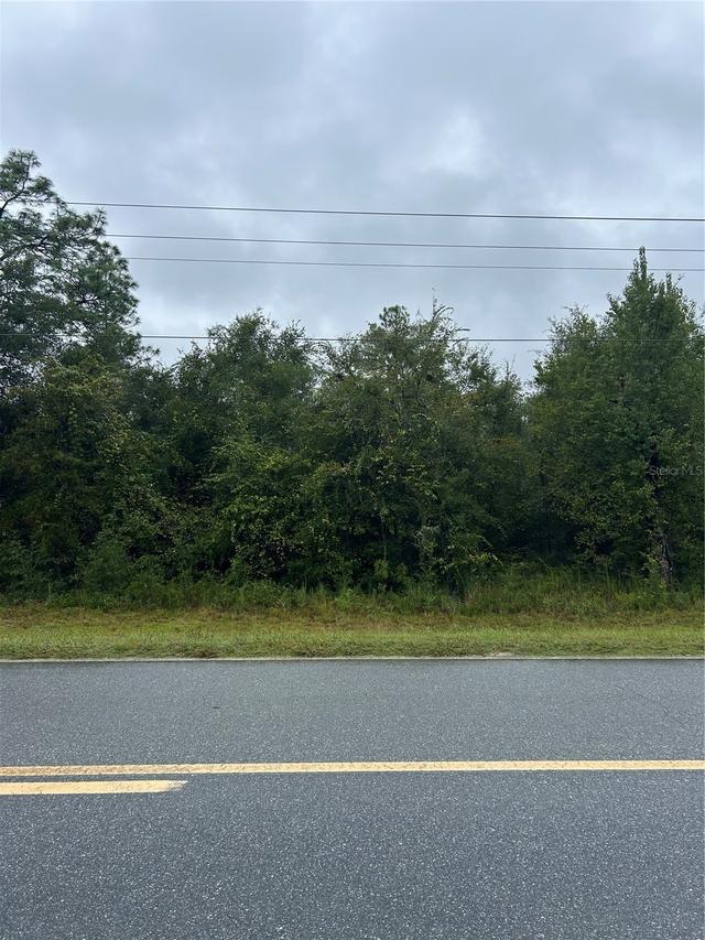 TBD NE 80th Ave., Bronson, FL 32621