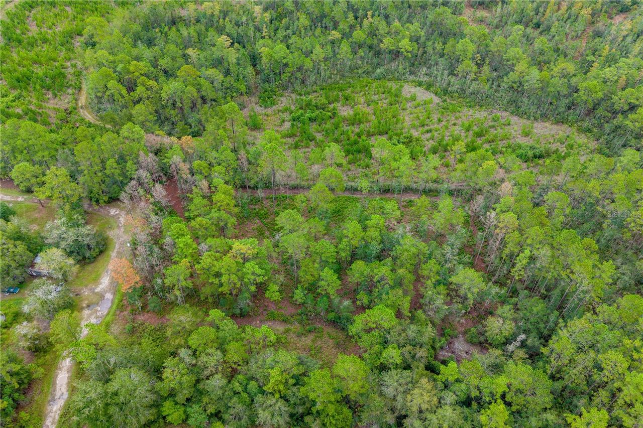 SE 125th St., Starke, FL 32091