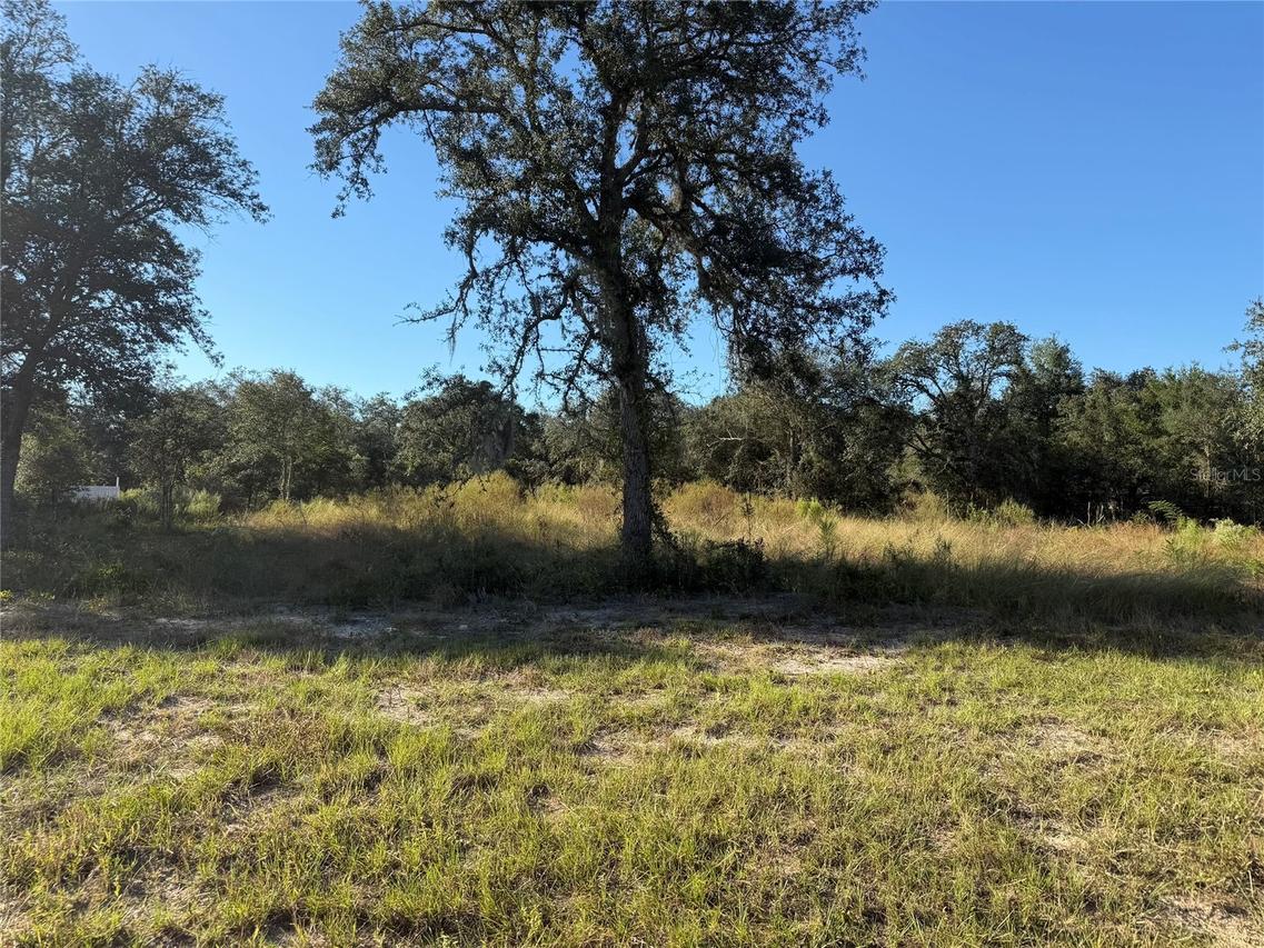 TBD NE 106th Ter., Bronson, FL 32621