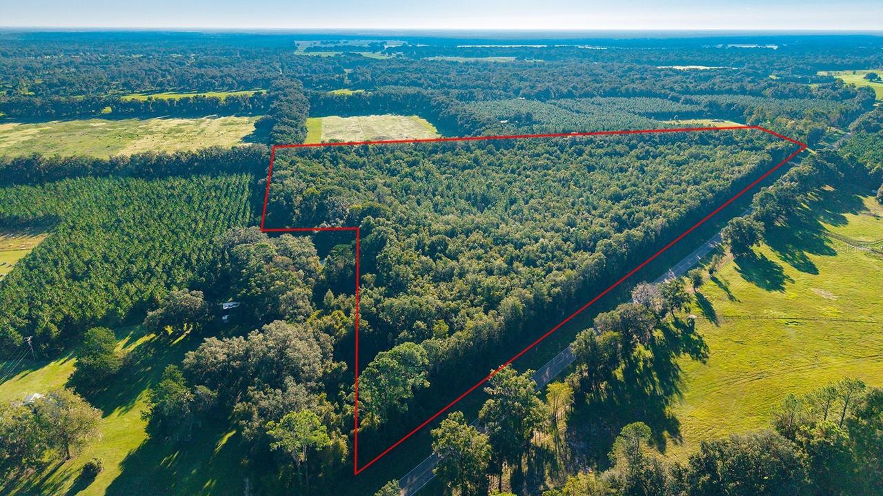 TBD 00 NW County Road 339, Trenton, FL 32693