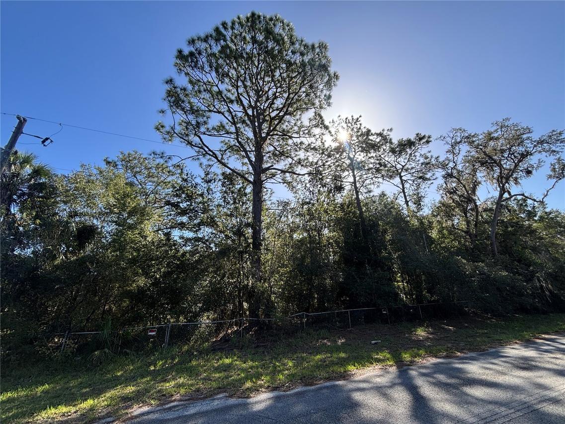 14331 SE 85th Ter., Inglis, FL 34449