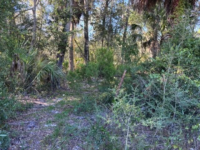 7450 SW State Road 24, Cedar Key, FL 32625