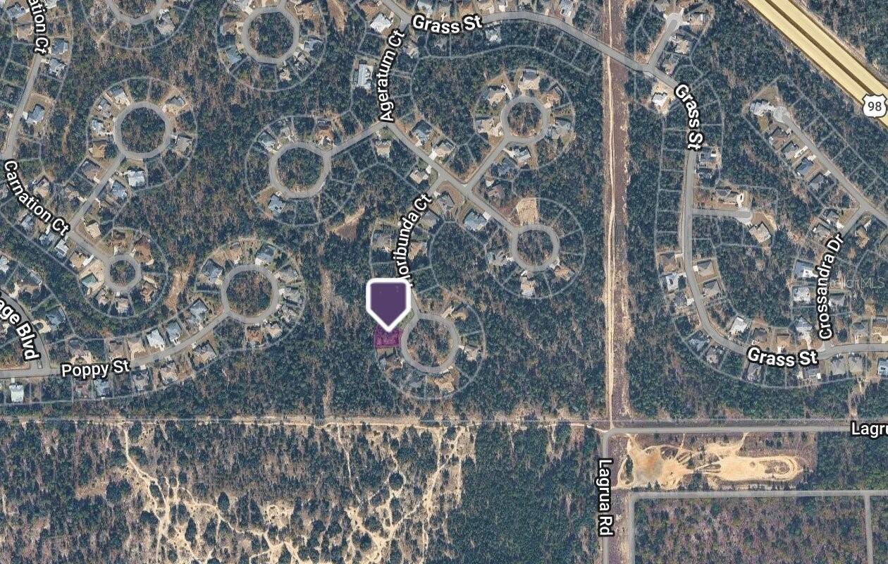 14 Floribunda Ct., Homosassa, FL 34446