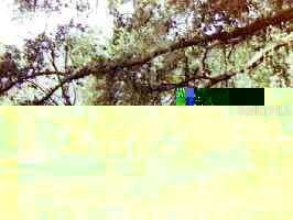 Rt.1,box 105, Gainesville, FL 99999