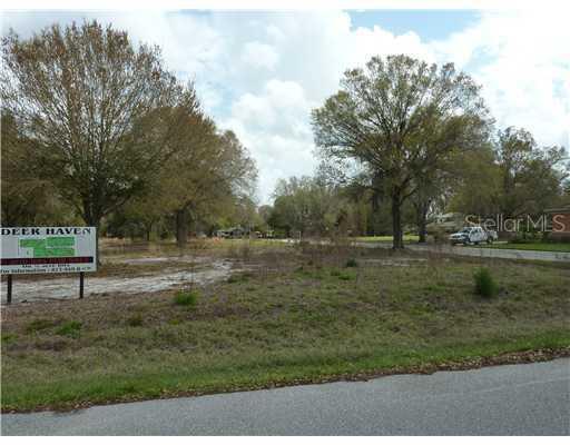 6 Deer Haven Dr., Lutz, FL 33558