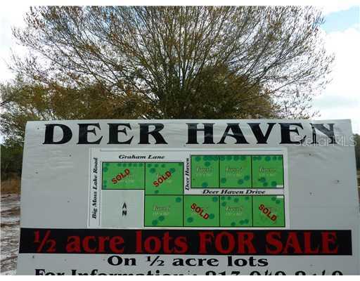 4 Deer Haven Dr., Lutz, FL 33558