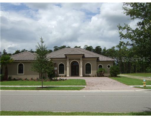 17312 San Aringo Pl., Lutz, FL 33548