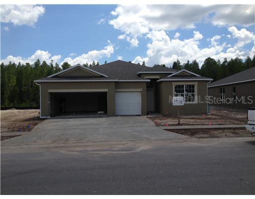 18652 Milton Keynes Ct., Land O Lakes, FL 34638