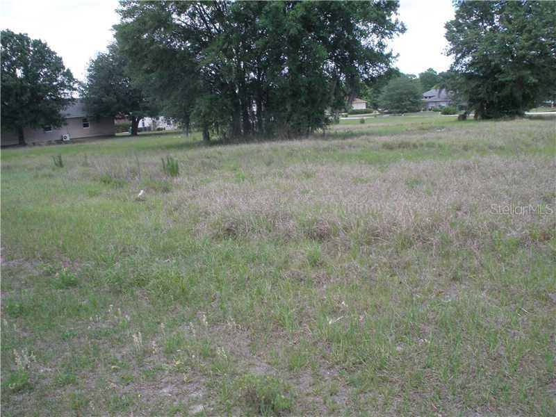 2828 Sherry Brook Ln., Lutz, FL 33559