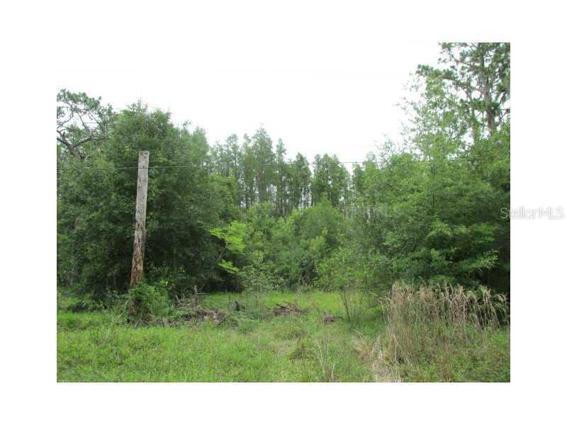 30225 Augustine Dr., Wesley Chapel, FL 33543