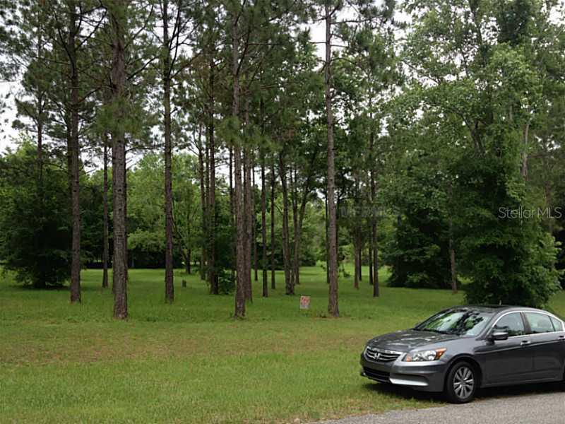 32707 Timber Hill Dr., Dade City, FL 33523