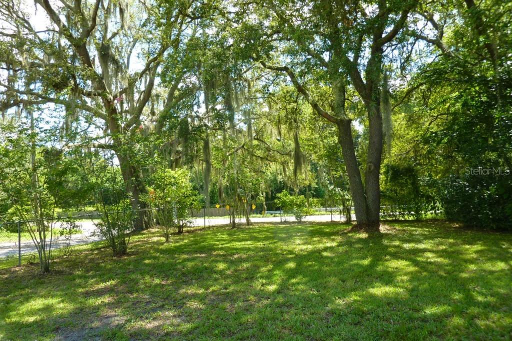 Livingston Rd., Lutz, FL 33559