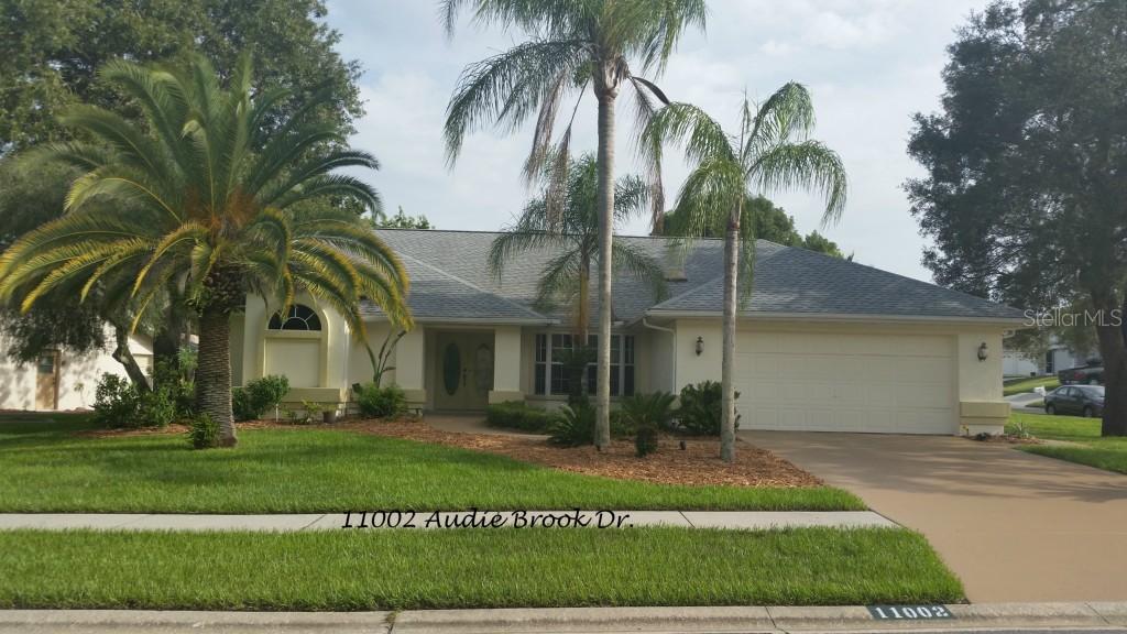 11002 Audie Brook Dr., Spring Hill, FL 34608