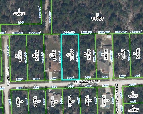 Pheasant Ave., Weeki Wachee, FL 34614