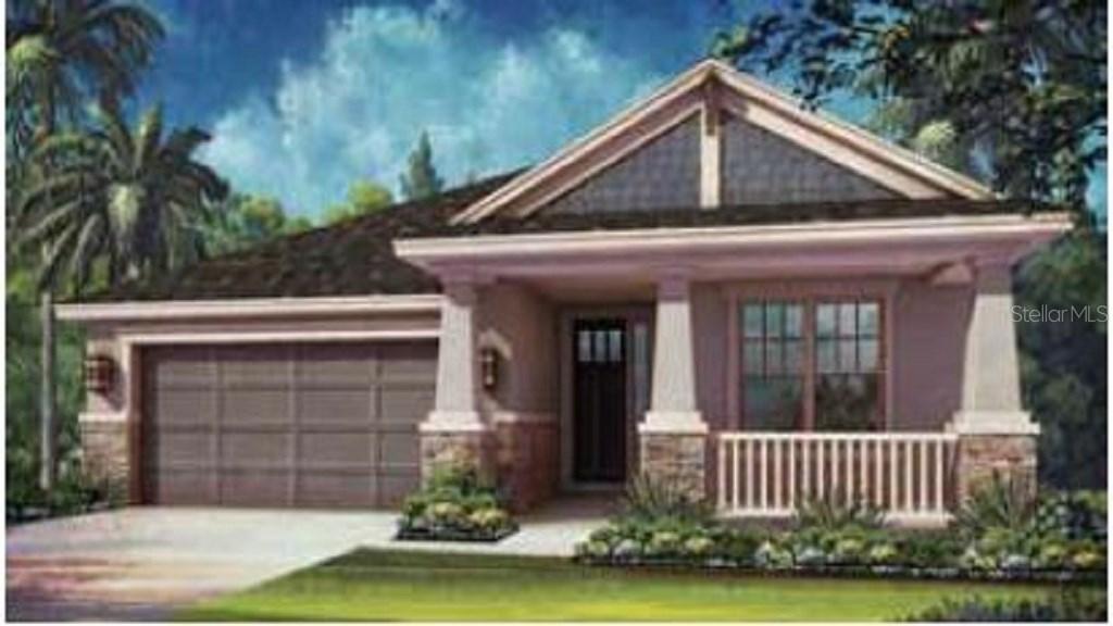 27082 Carolina Aster Dr., Wesley Chapel, FL 33544