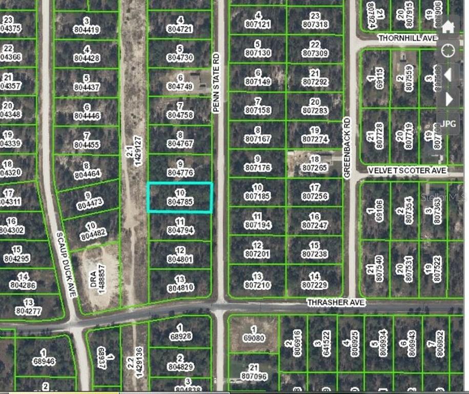 16273 Penn State Rd., Weeki Wachee, FL 34614