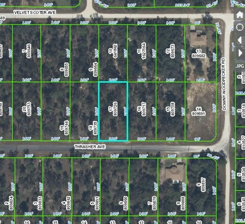 13369 Thrasher Ave., Weeki Wachee, FL 34614